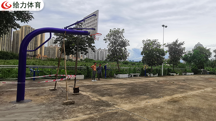 玉林學?；@球架廠家